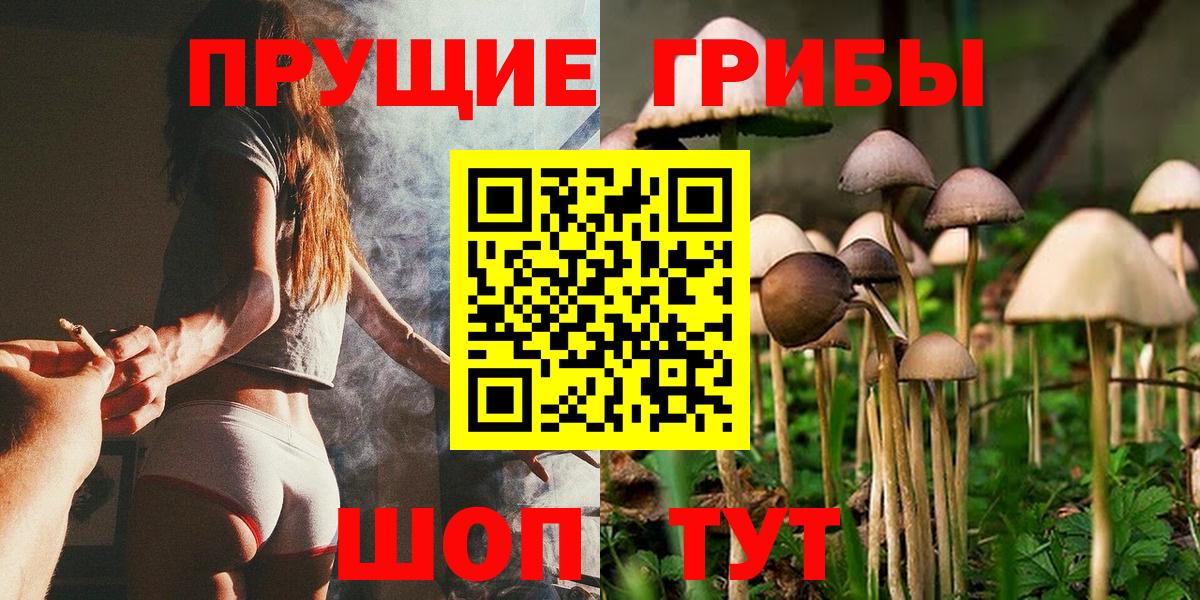 Псилоцибиновые грибы MAGIC MUSHROOMS  Вход с VPN  Кудрово 