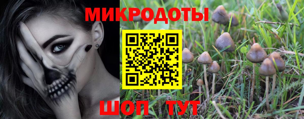 Галлюциногенные грибы MAGIC MUSHROOMS Кудрово