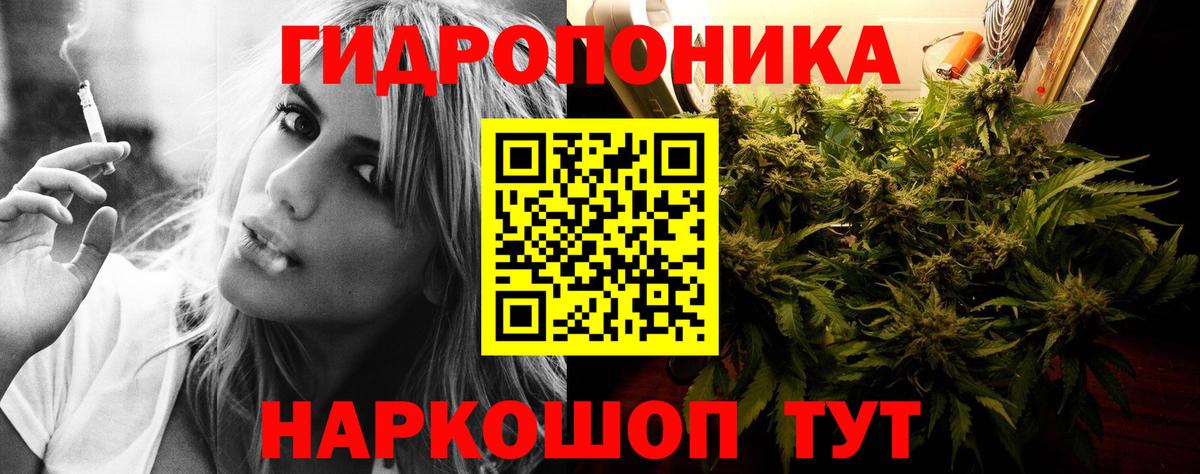 Бошки Шишки White Widow  Вход с VPN  МАРИХУАНА Ganja  Марихуана тримм  Кудрово  Канабис White Widow 