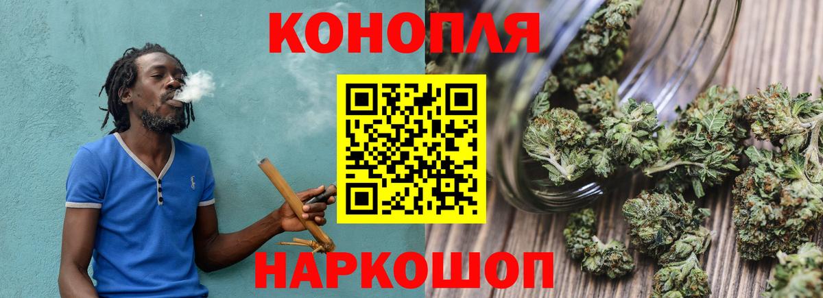 Бошки Шишки планчик Кудрово